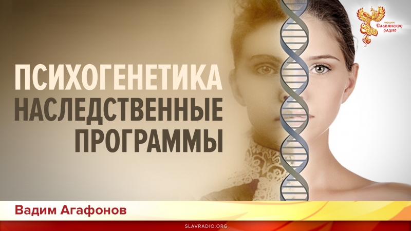 Психогенетика. Наследственные программы