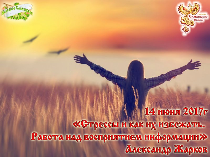 Стрессы и как их избежать. Работа над восприятием информации.