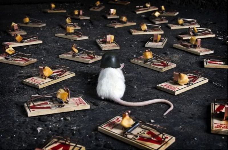 Ловушки на светлом пути Духовного роста