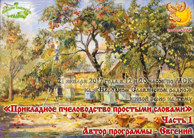 Прикладное пчеловодство простыми словами Часть 1