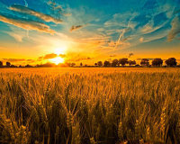 Как найти в&nbsp;себе силы переехать из&nbsp;города на&nbsp;землю. ОКОНЧАНИЕ