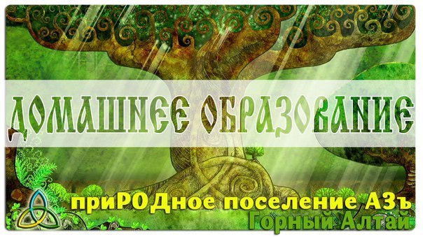Домашнее Образование
