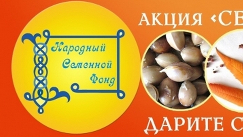 Акция "Семена радости". Новая волна