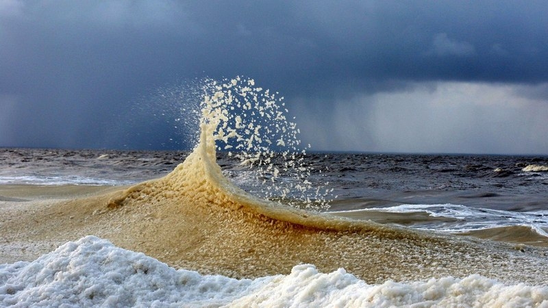 Поморские поговорки