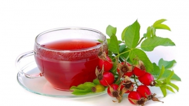 Полезные свойства шиповника