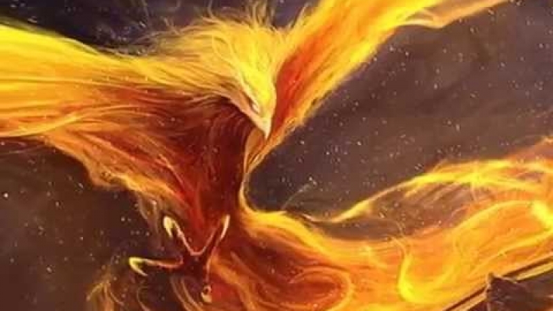 7 птиц, которых знают только Русские