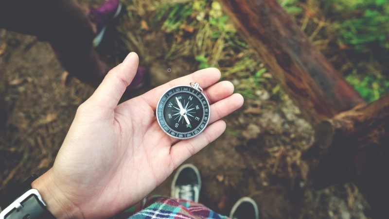 Памятка для заблудившихся в лесу