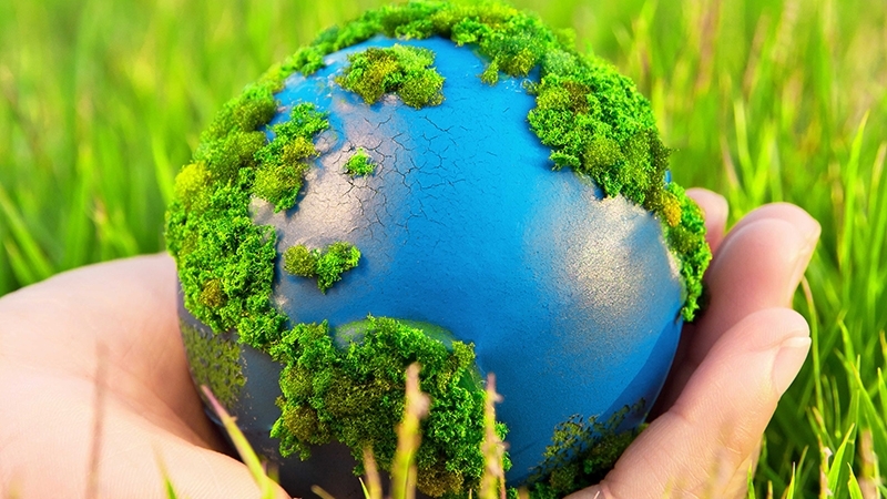 Десять загадок природы