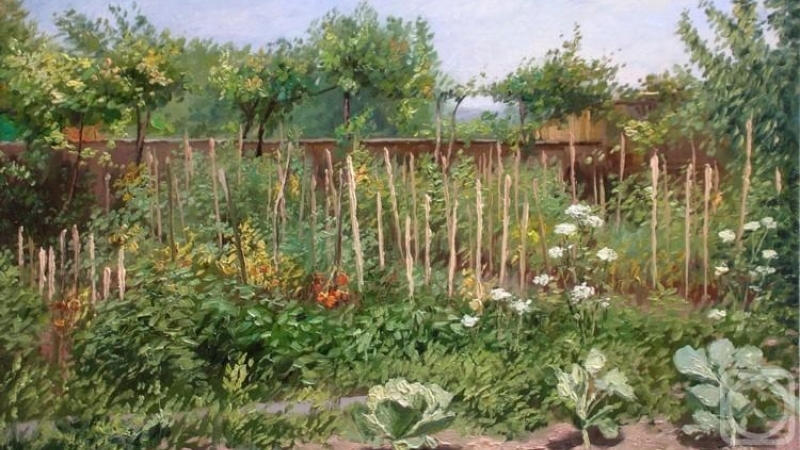 Что росло в русском огороде до картошки?