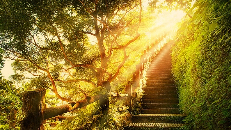 Путь к счастью