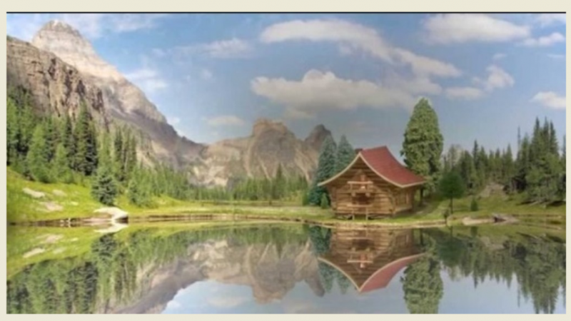 Как девица Цветенка в сказке побывала