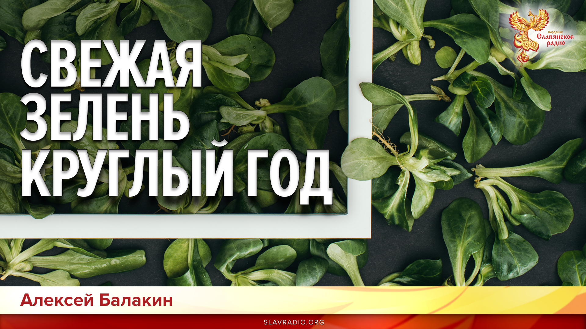 Свежая зелень круглый год