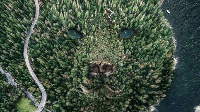 Общественное движение "Родной Лес"