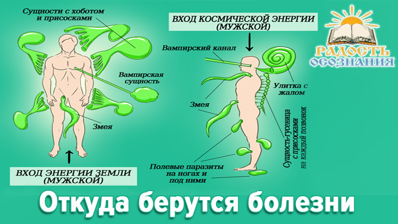 Откуда берутся болезни