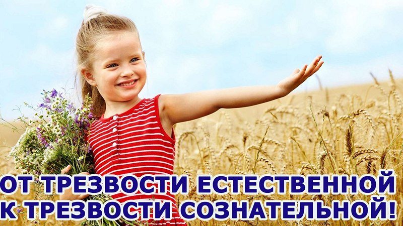 Трезвость естественна