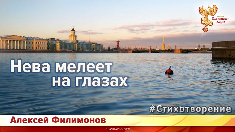 Нева мелеет на глазах