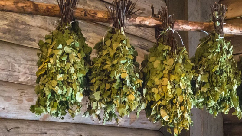 Банный веник своими руками