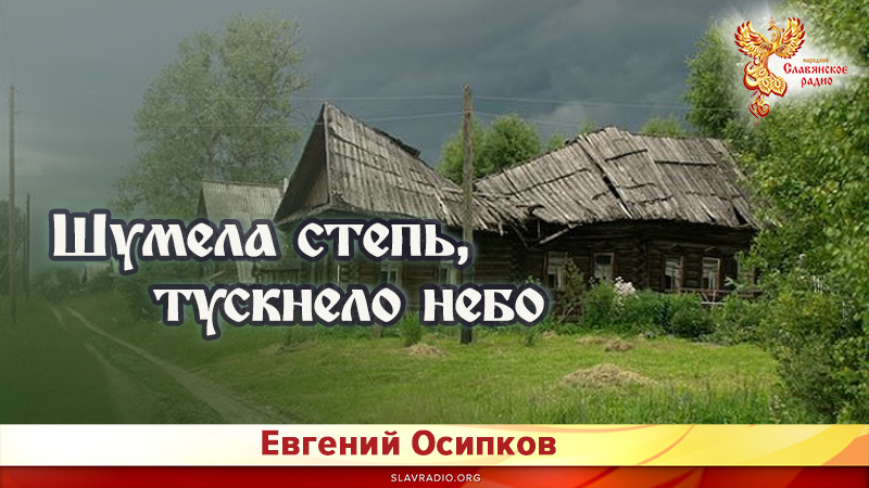 Шумела степь, тускнело небо