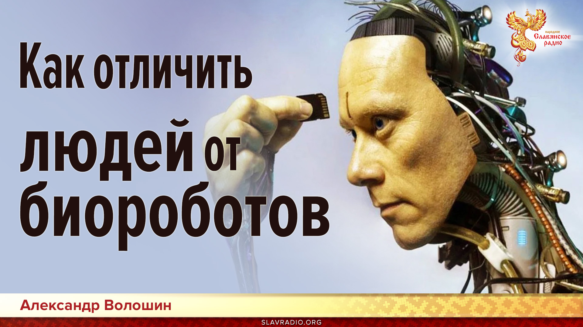 Как различать людей и биороботов
