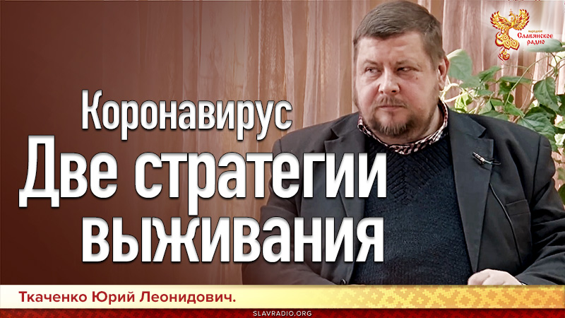 Коронавирус. Две стратегии выживания.