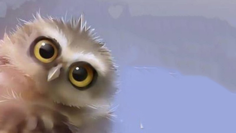 3 лучших фразы для помощи близкому человеку