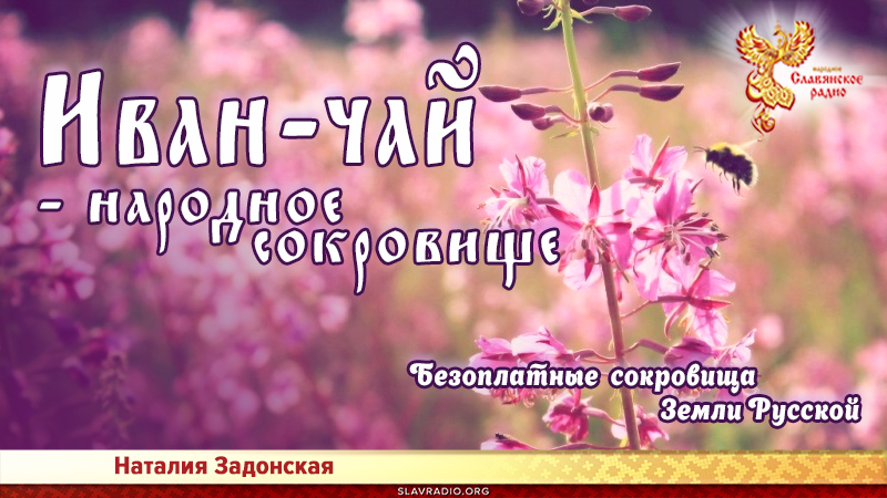 ИВАН &ndash; ЧАЙ - народное сокровище
