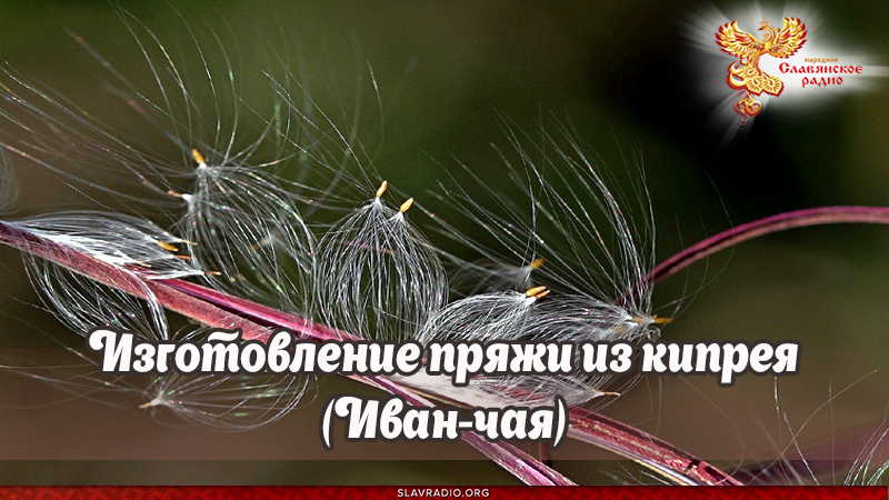 Изготовление пряжи из кипрея (Иван-чая)