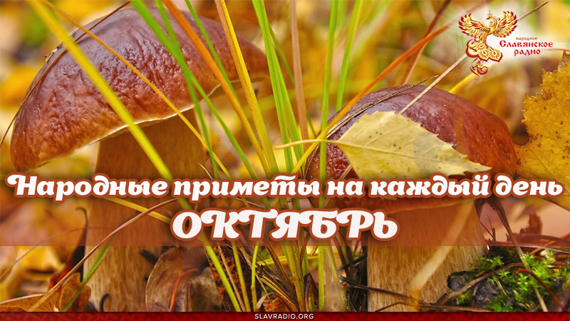 Народные приметы на каждый день. Октябрь