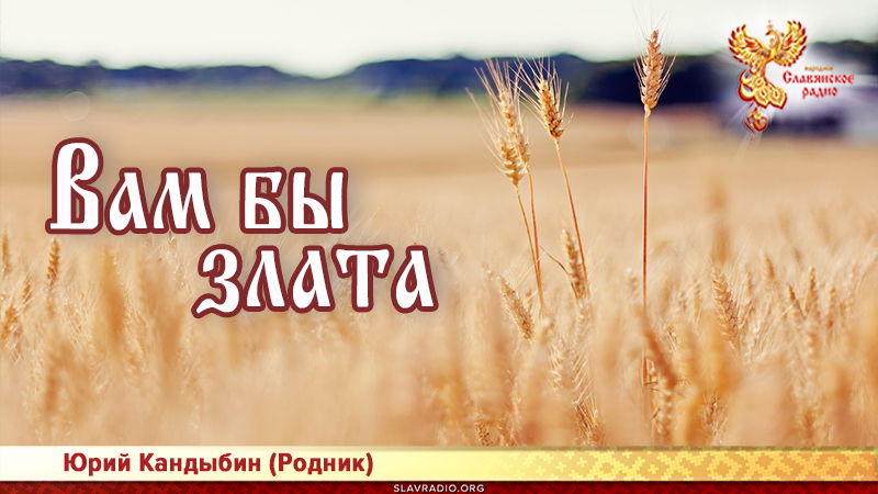 Вам бы злата 