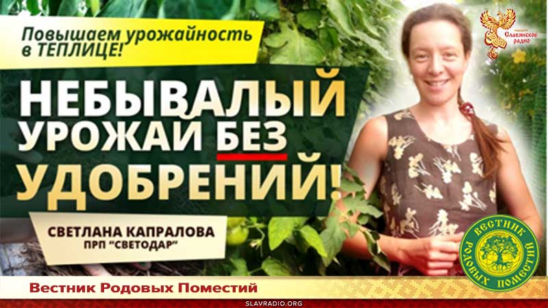 Небывалый урожай без удобрений