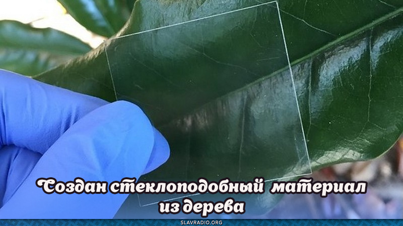 Создан стеклоподобный материал из дерева