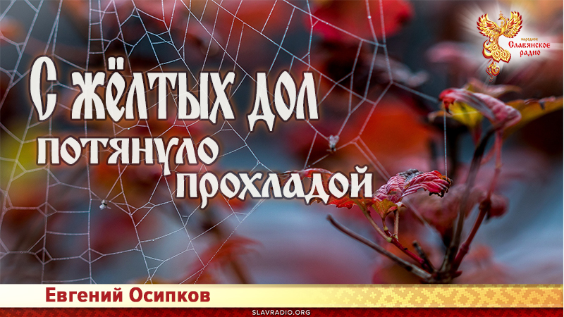 С жёлтых дол потянуло прохладой