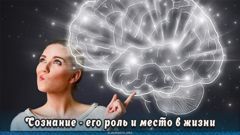 Сознание -  его роль и место в жизни