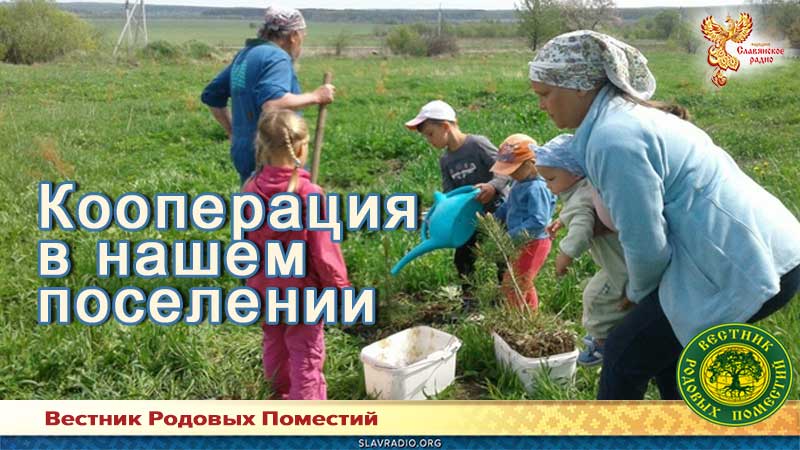 Кооперация в нашем поселении