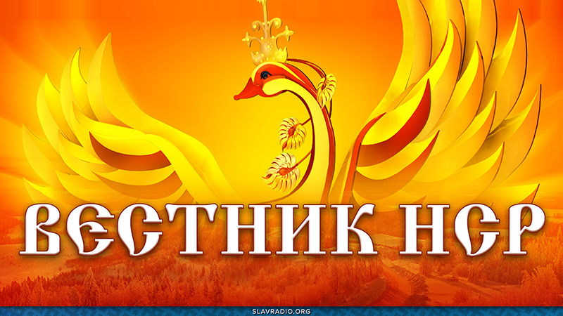 Вестник НСР. Выпуск 10