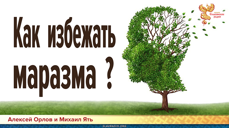 Как избежать маразма?
