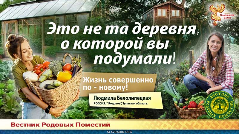 Жизнь по новому