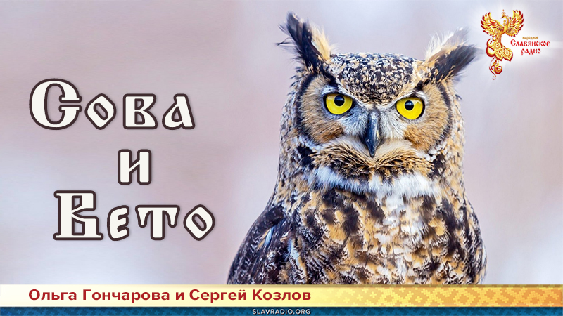 Сова и Вето