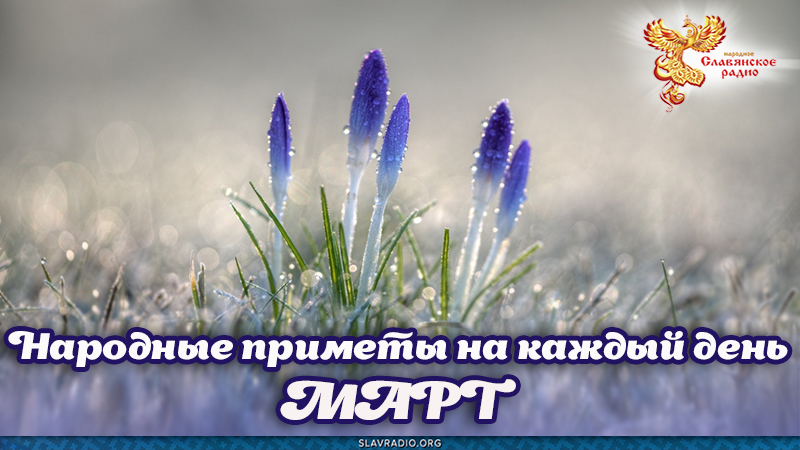 Народные приметы на каждый день. Март