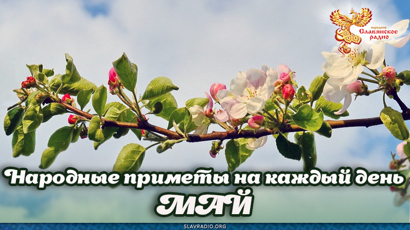 Народные приметы на каждый день. Май