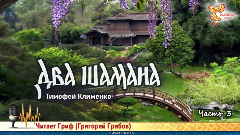 Два шамана. Часть 3 