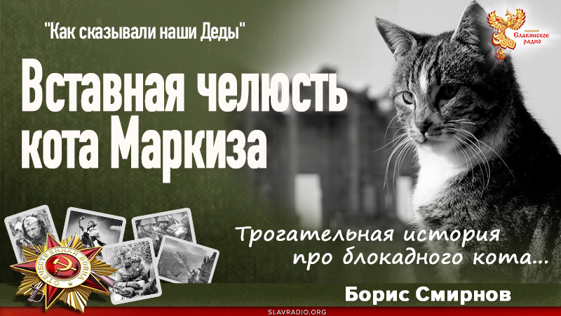 Вставная челюсть кота Маркиза