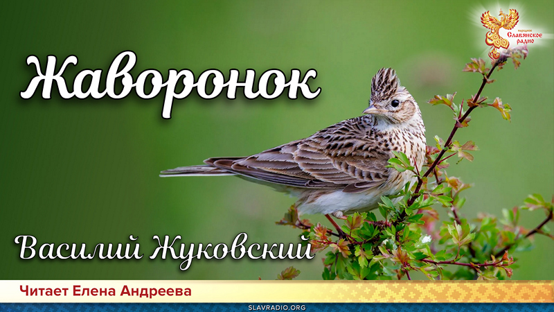 День поэзии. Василий Жуковский - Жаворонок