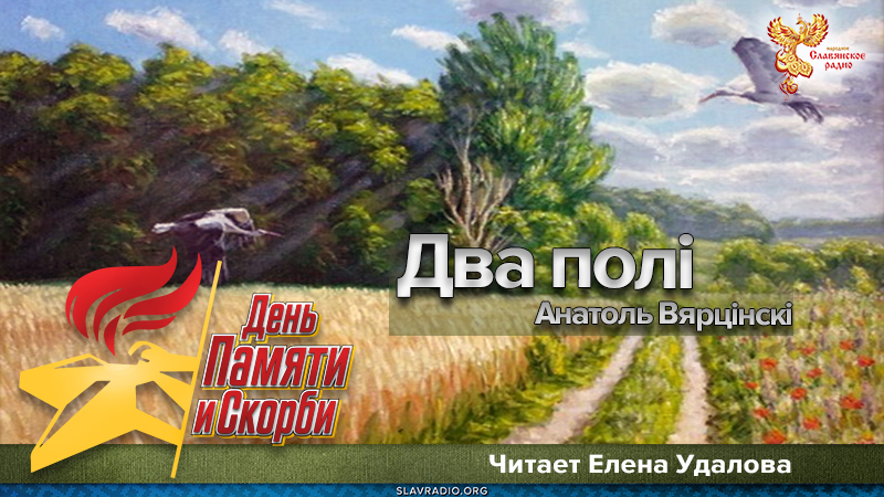 Анатоль Вярцінскі - Два полі