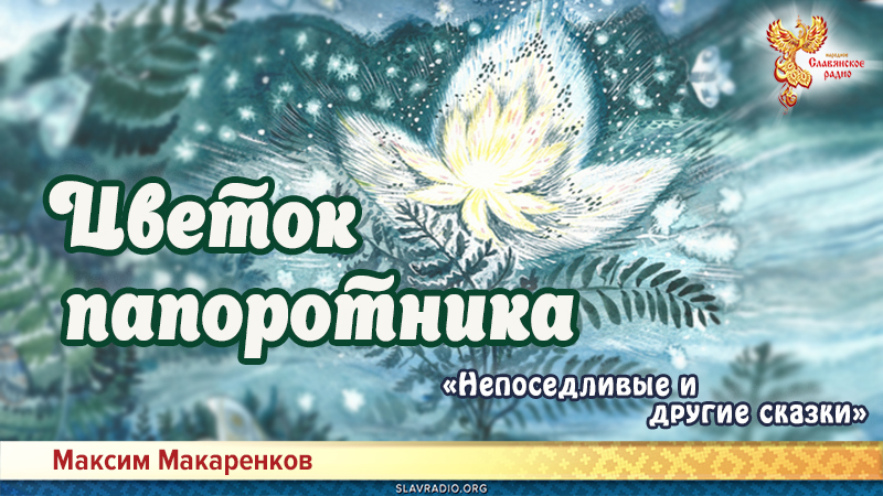 Цветок папоротника  