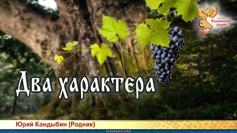 Два характера 