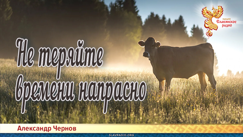 Не теряйте времени напрасно 