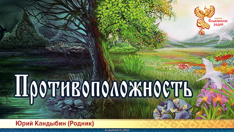 Противоположность 