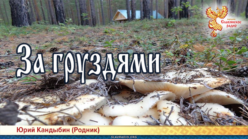 За груздями 