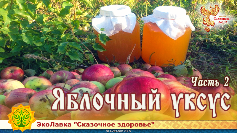 Яблочный уксус. Часть 2